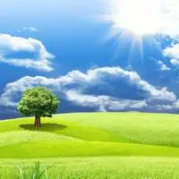 阳光照耀绿草地_风景头像图片_扣扣居