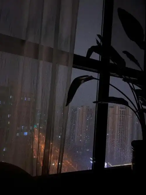 描写黑夜的孤独的句子 - 好句子大全