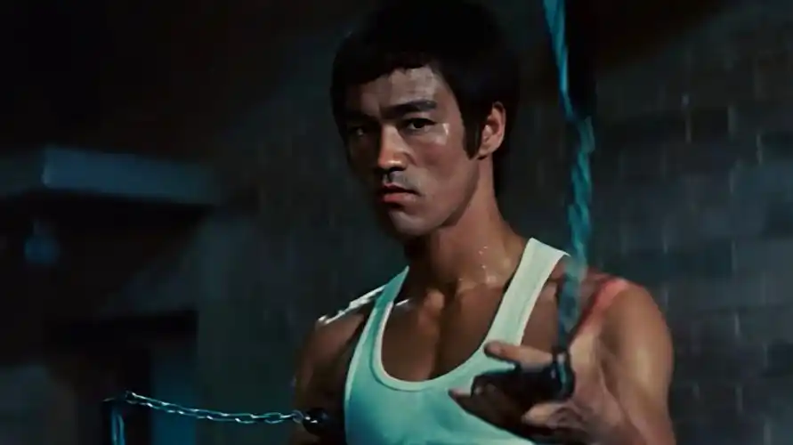 李小龙的又一力作 电影猛龙过江 简介