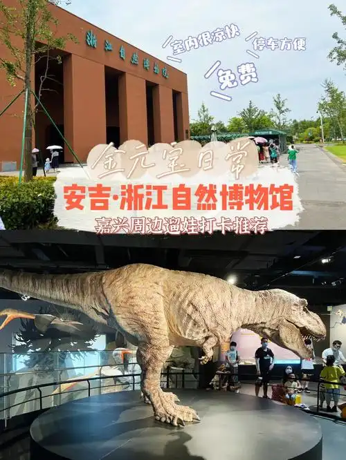 嘉兴周边遛娃3278湖州安吉自然博物馆免费