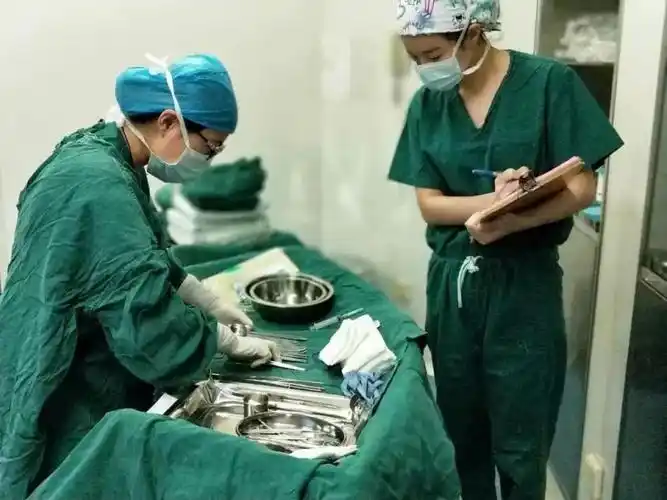 护士周琅与器械护士认真清点器械及所需物品,为即将开始的手术作充分
