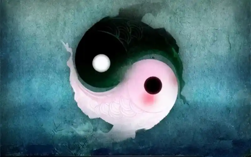 太极图和阴阳鱼的真实意义