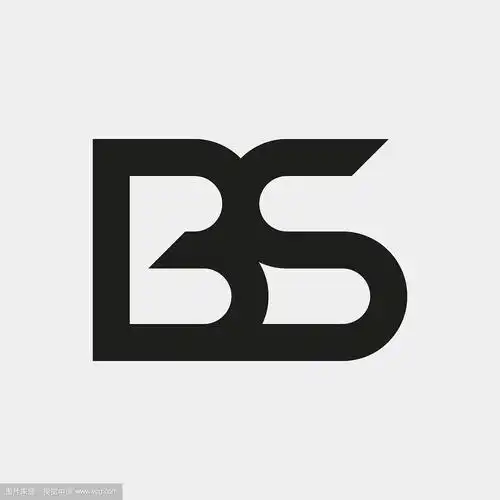 bs标志字母组合