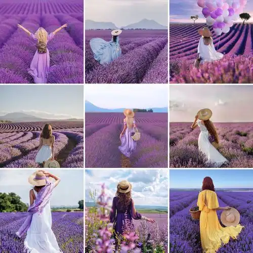 七月来看薰衣草,衣着宜纯色素净.花田中,背影拍摄较常见.