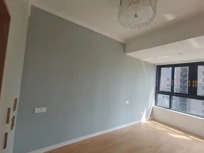 伦敦雾上墙三个月效果图