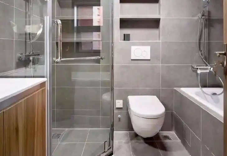 加上安装和砌墙费用,壁挂马桶的整体成本比普通马桶贵一倍以上