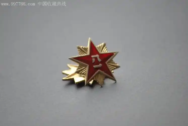 退役87陆*早期领花(铁丝版)