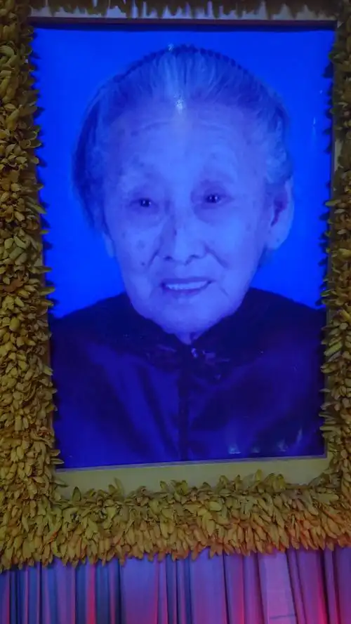 致我最敬爱亲爱可爱的姥姥