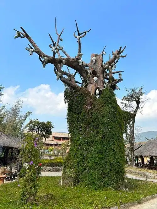 翁丁古寨浴火重生,中国最后一个原始部落盛装归来