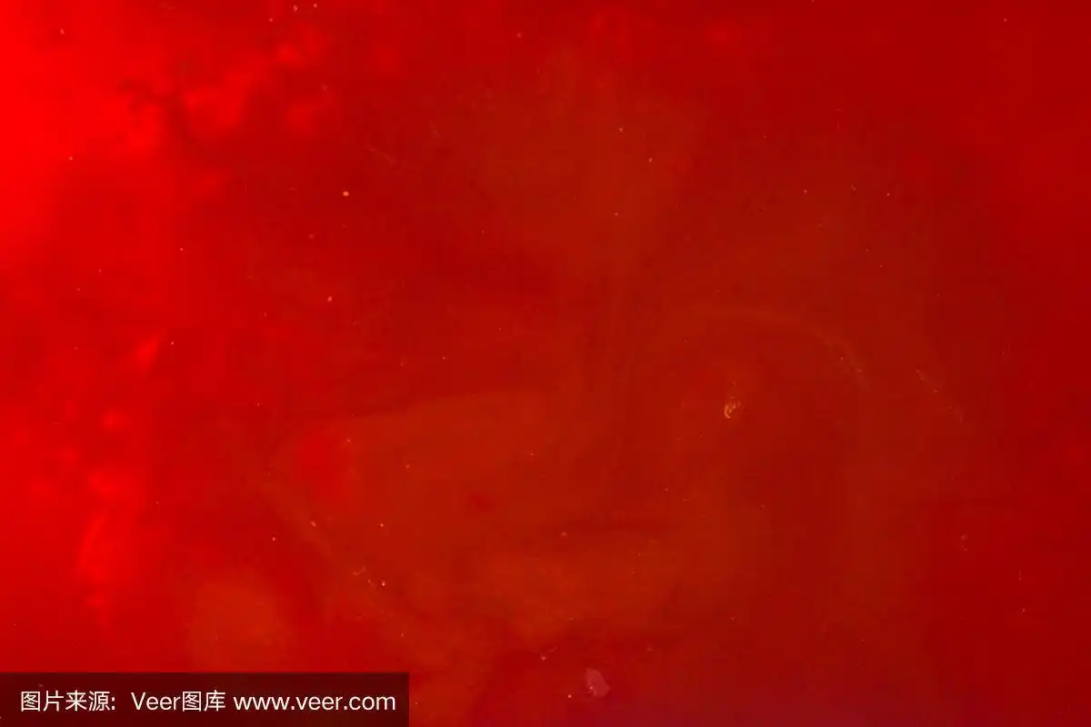 抽象的暗红色背景.抽象的背景.色彩斑斓的模糊背景