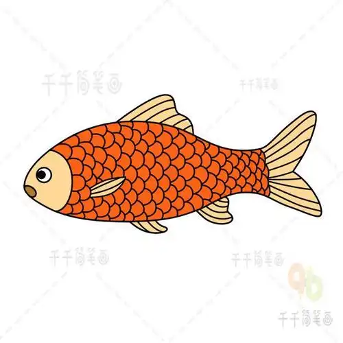 秀海底世界大海小鱼珊瑚简笔画67鱼的动物简笔画可爱的大鱼简笔画图片