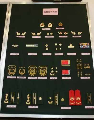 中国武警部队的07式新军服 看看有多帅[图](1)