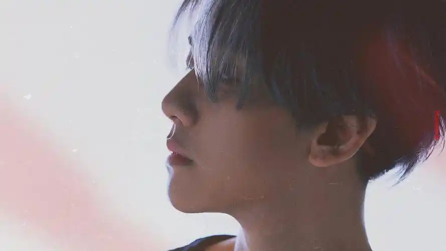 壁纸|伯贤(侵删歉)|不定时更新