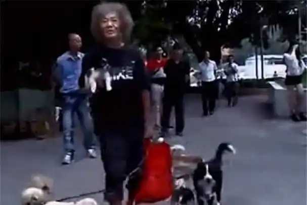 原创香港富二代郑六三前半生挥霍父母遗产如今捡垃圾与流浪狗相伴