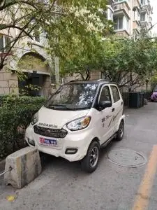 飞马牌四轮电动代步车,60v30a