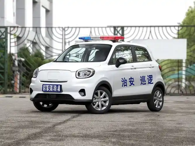 特种警用电动巡逻车,让你感受安全又环保的警用力量!