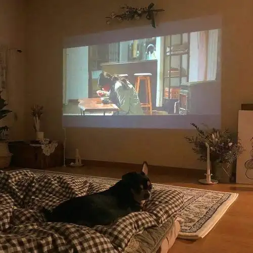 怎么看电视能护眼