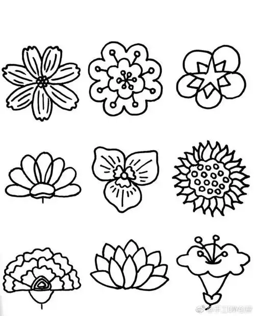 花朵简笔画分享50种各类花朵的线描简笔画,值得收藏!