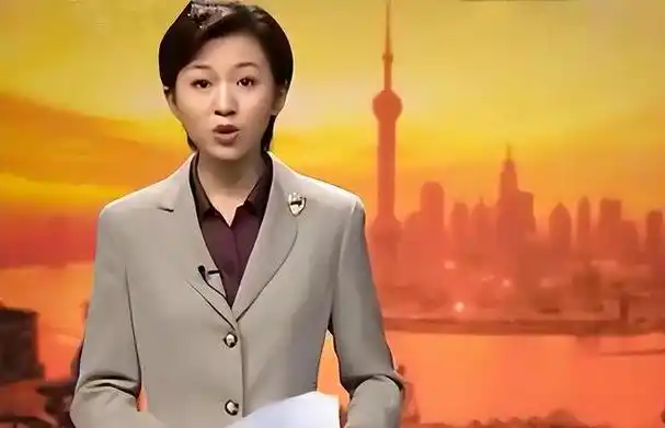 上海电视台让她了《上海早晨》和《新闻夜线》两大节目的主持人