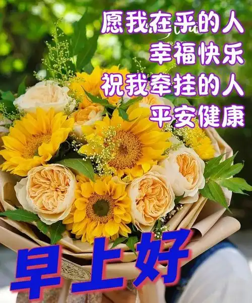 最新创意好看的早安早上好图片带字带祝福语2023唯美夏日清晨早安问候