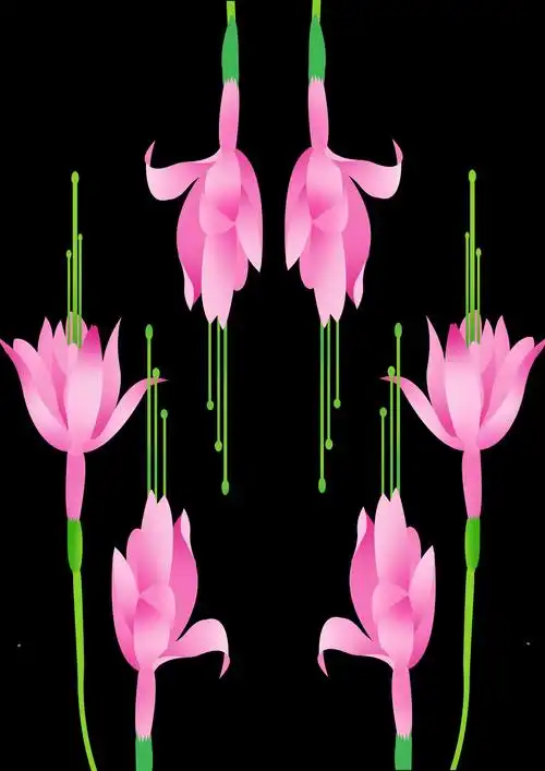 花卉素材海报设计