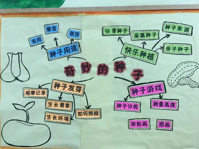 巴蜀幼儿园芒果班课程推送【奇妙的种子】