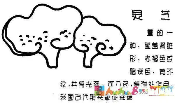 长在树上的灵芝简笔画