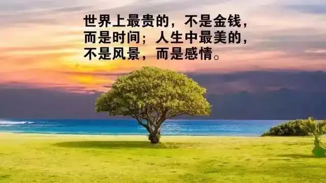 非常走心的一句话人生哲理经典语句,句句简短入心!