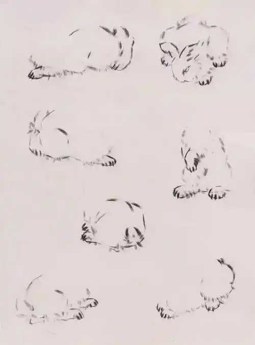 兔年临近,来看国画兔子的技法大全_画法_步骤_眼睛