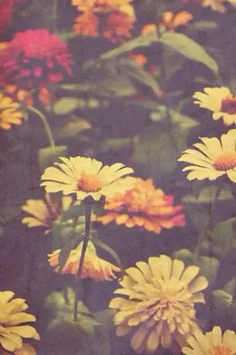 花 复古 壁纸 聊天背景 欧美 文艺 【陌上花开,可缓缓归矣