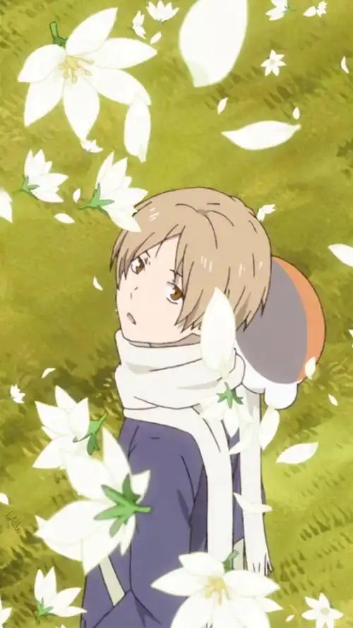 夏目友人帐治愈系动漫