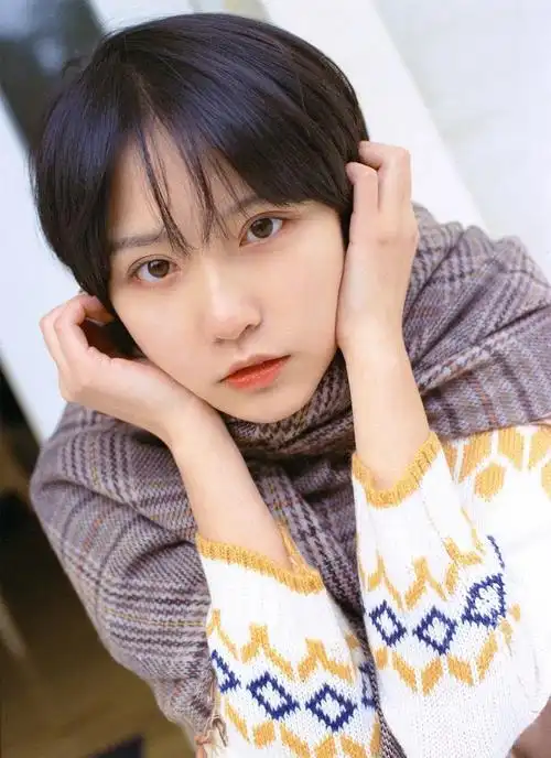 审美集诸葛大力成果写真集