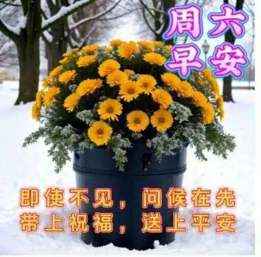 2023年12月9日周六早安问候语 星期六早上好祝福图片