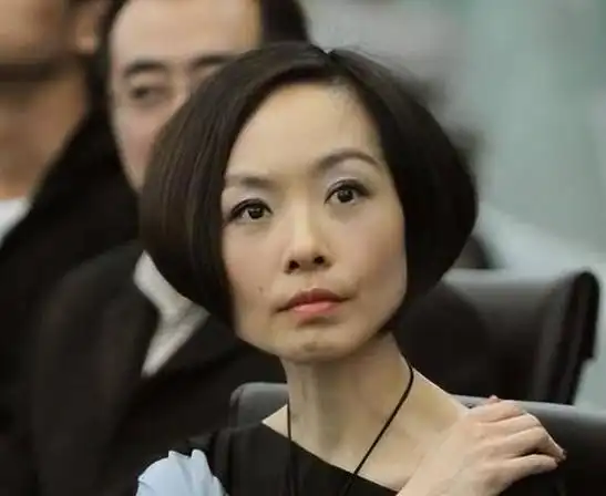 鲁豫走过半生仍是独自一人两段婚姻孩子是她最大的遗憾