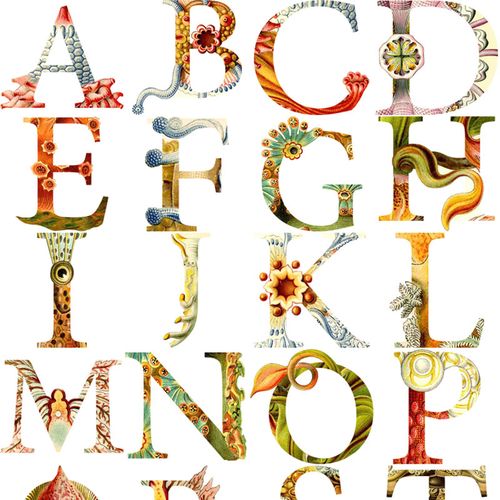 英文字母26a-z免扣图片海洋神话故事艺术字体ps设计素材 png格式