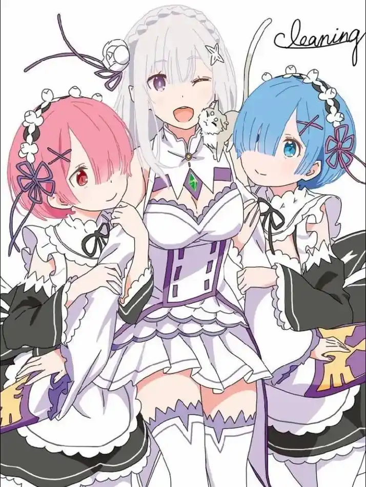 你陪伴我的第四年.#爱蜜莉雅 #从零开始的异世界生活 # - 抖音