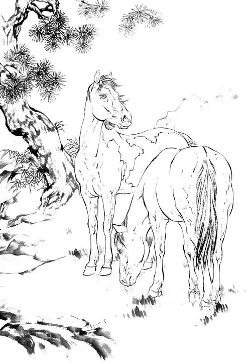工笔白描骏马图