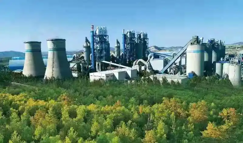 雷前治中国水泥工业结构调整的艰辛历程