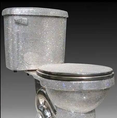 奇葩马桶盘点有钱人的快乐我不懂