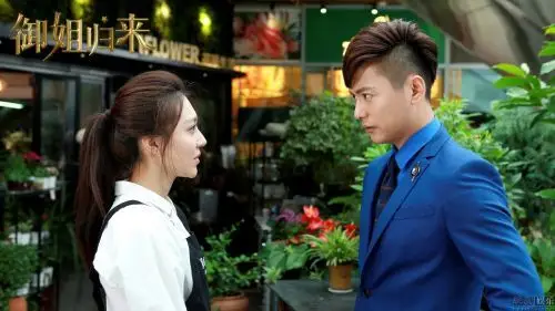 《御姐归来》收视率破1高品质制作收获好口碑