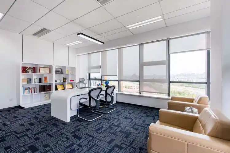 50平现代简约风老板办公室布置效果图