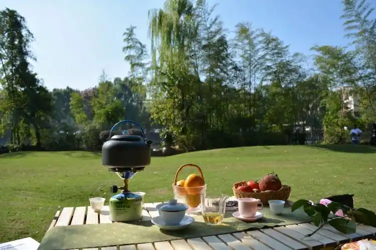 秋日快乐户外喝茶