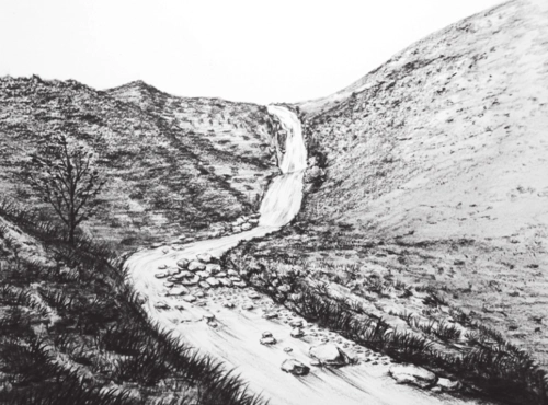 用炭笔画风景,画起来超快还很好看!快拿起笔试试