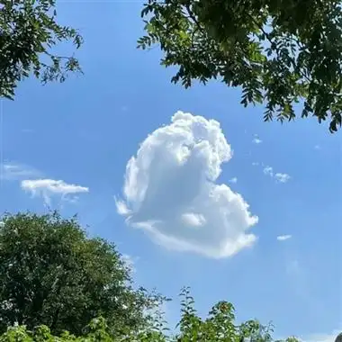 夏天风景头像(精选21张)