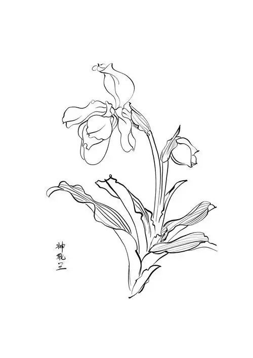 一组国画白描临摹