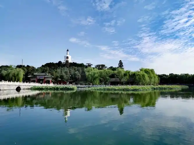 夏荷——北海公园