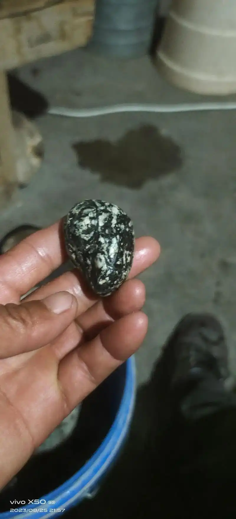 纯天然奇形怪状的石头欢迎欣赏