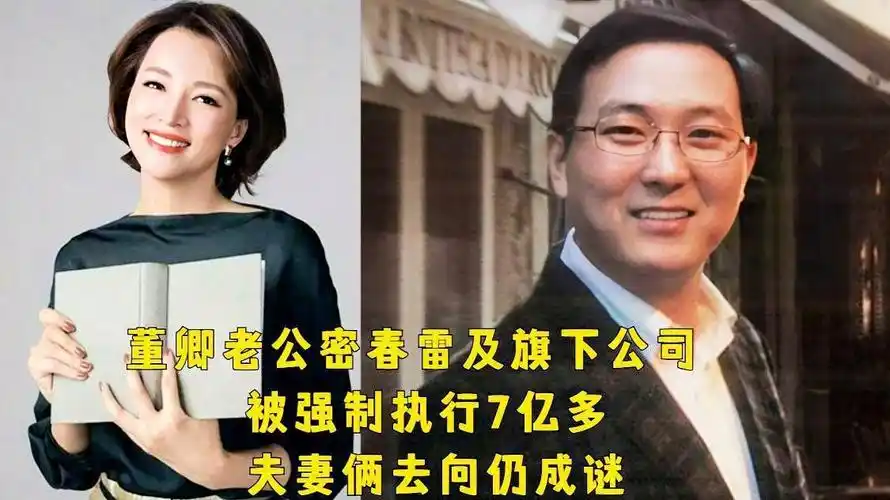 董卿丈夫密春雷被强制执行超7亿元,此前已失联数月|密春雷|股权|董卿