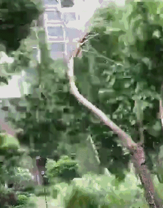 329_419竖版 竖屏gif 动态图 动图