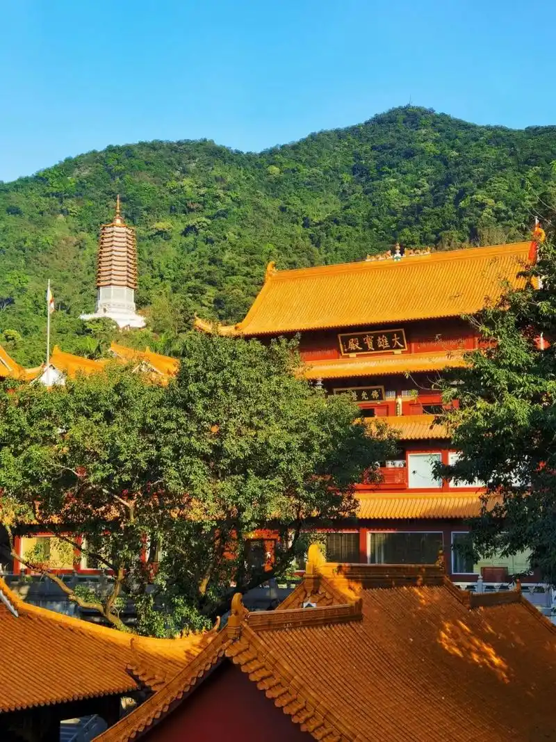 深圳弘法寺上香指南78 入园:在"仙湖植物园入园预约"上购 上山:门口